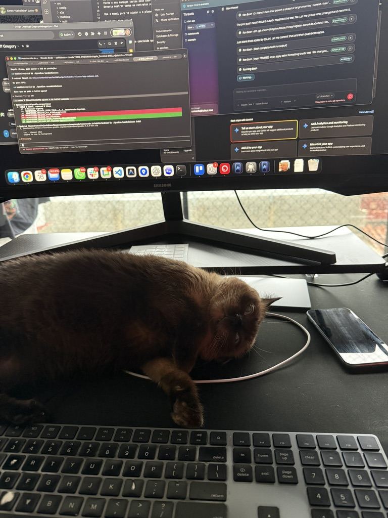 Gato deitado na mesa em frente a um monitor com código