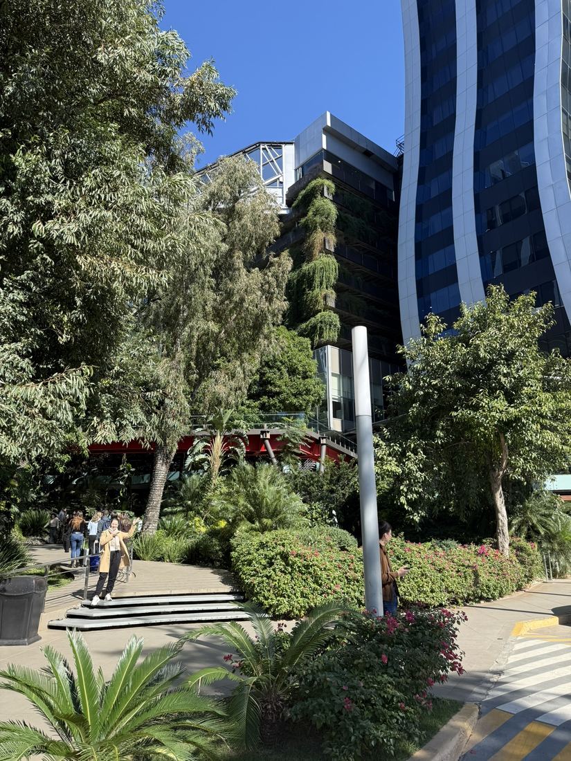 Jardim com árvores e escadas entre prédios espelhados